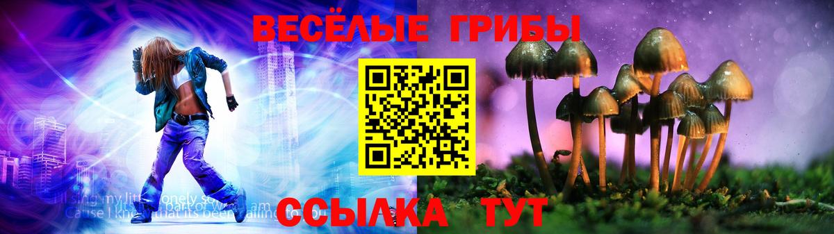 Псилоцибиновые грибы MAGIC MUSHROOMS  Вход с VPN  Вышний Волочёк 